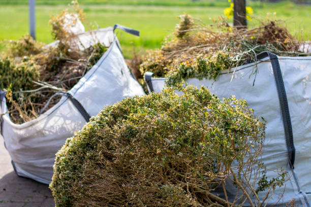 Best Property Management Cleanouts  in Macarthur, WV